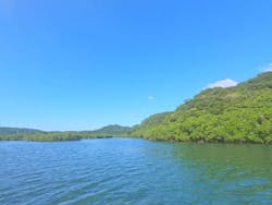 西表島 ADVENTURE PiPi（アドベンチャーピピ）に投稿された画像（2025/11/24）