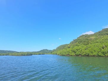 西表島 ADVENTURE PiPi（アドベンチャーピピ）に投稿された画像（2025/11/24）