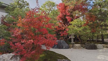 足立美術館に投稿された画像（2025/11/25）