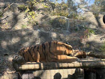 多摩動物公園に投稿された画像（2025/11/25）