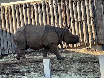 多摩動物公園に投稿された画像（2025/11/25）