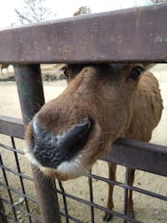 那須サファリパークに投稿された画像（2025/11/25）