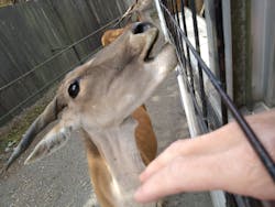 那須サファリパークに投稿された画像（2025/11/25）