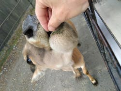 那須サファリパークに投稿された画像（2025/11/25）