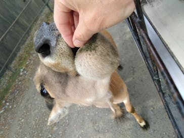 那須サファリパークに投稿された画像（2025/11/25）