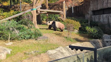 恩賜上野動物園に投稿された画像（2025/11/25）
