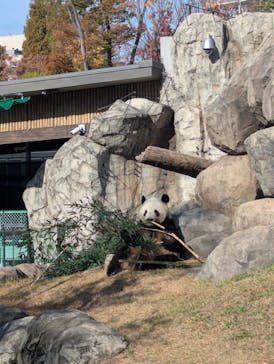 恩賜上野動物園に投稿された画像（2025/11/25）