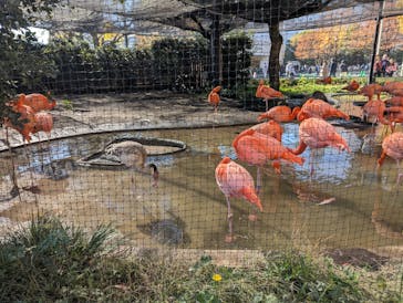 恩賜上野動物園に投稿された画像（2025/11/25）