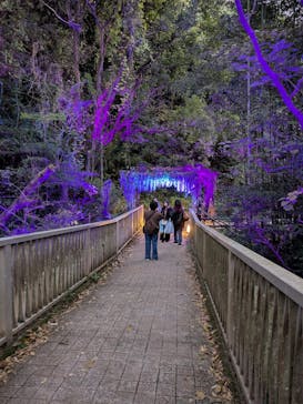 ニジゲンノモリに投稿された画像（2025/11/25）