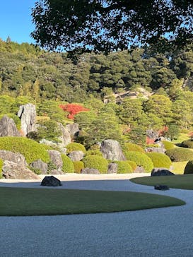 足立美術館に投稿された画像（2025/11/25）