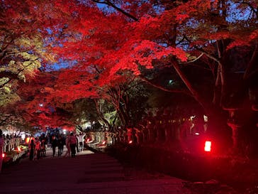 勝尾寺に投稿された画像（2025/11/25）