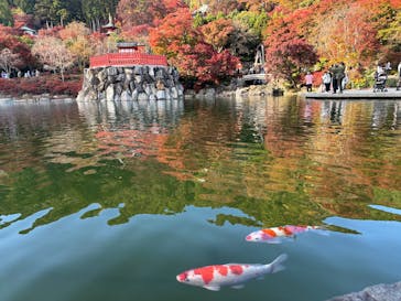 勝尾寺に投稿された画像（2025/11/25）