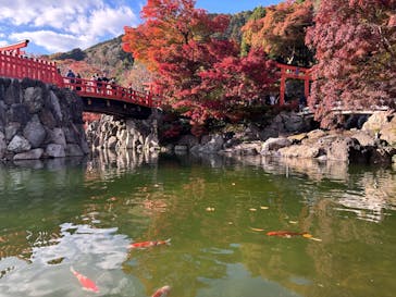 勝尾寺に投稿された画像（2025/11/25）