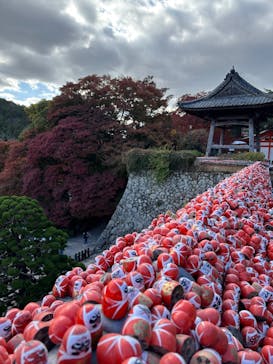 勝尾寺に投稿された画像（2025/11/25）