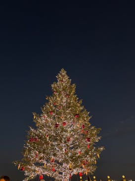 Christmas Market in 横浜赤レンガ倉庫 2025に投稿された画像（2025/11/25）