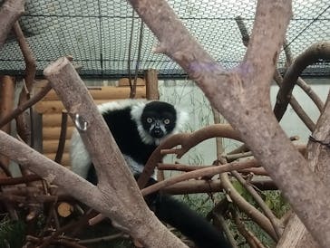 恩賜上野動物園に投稿された画像（2025/11/25）