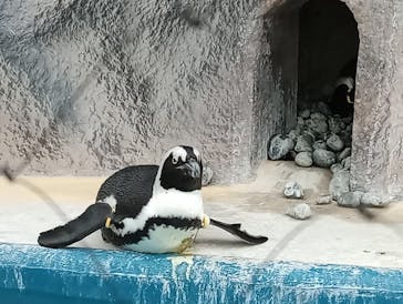 恩賜上野動物園に投稿された画像（2025/11/25）