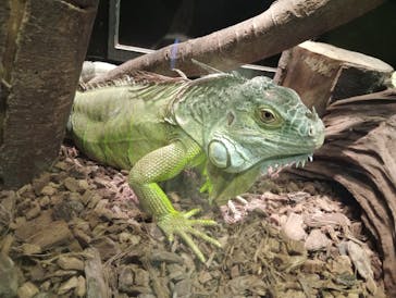 恩賜上野動物園に投稿された画像（2025/11/25）