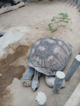 恩賜上野動物園に投稿された画像（2025/11/25）