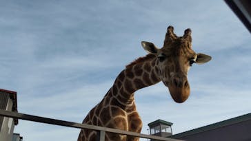 東北サファリパークに投稿された画像（2025/11/25）