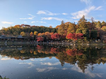 国営昭和記念公園 秋の夜散歩に投稿された画像（2025/11/25）