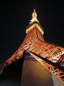 東京タワーに投稿された画像（2025/11/25）