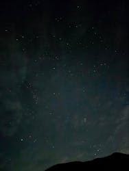 大井川鐵道株式会社に投稿された画像（2025/11/25）