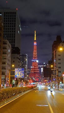 東京タワーに投稿された画像（2025/11/25）