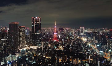 東京タワーに投稿された画像（2025/11/25）