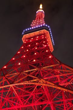 東京タワーに投稿された画像（2025/11/25）