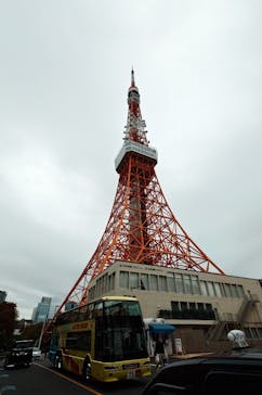 東京タワーに投稿された画像（2025/11/25）