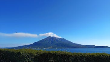 仙巌園に投稿された画像（2025/11/25）