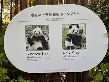 恩賜上野動物園に投稿された画像（2025/11/25）