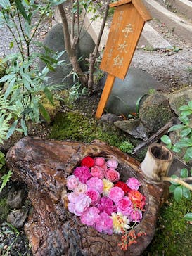 ACAO FORESTに投稿された画像（2025/11/25）