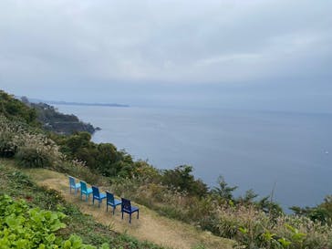 ACAO FORESTに投稿された画像（2025/11/25）