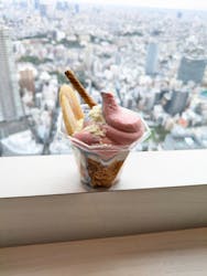 サンシャイン60展望台に投稿された画像（2025/11/25）