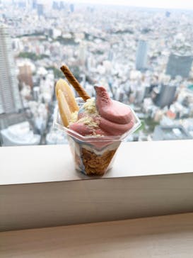 サンシャイン60展望台に投稿された画像（2025/11/25）