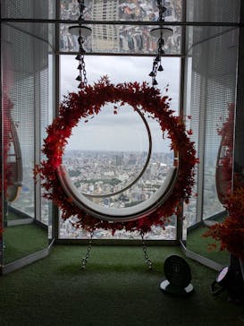 サンシャイン60展望台に投稿された画像（2025/11/25）