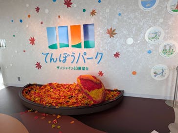 サンシャイン60展望台に投稿された画像（2025/11/25）