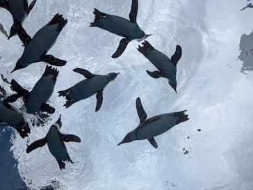 サンシャイン水族館に投稿された画像（2025/11/25）