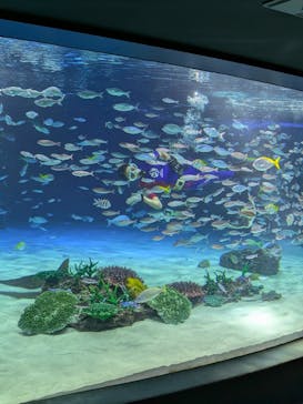 サンシャイン水族館に投稿された画像（2025/11/25）