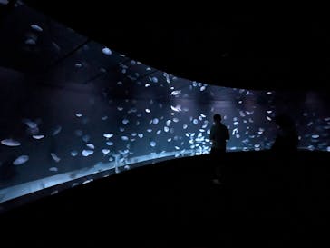 サンシャイン水族館に投稿された画像（2025/11/25）