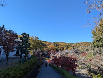 博物館 明治村に投稿された画像（2025/11/25）