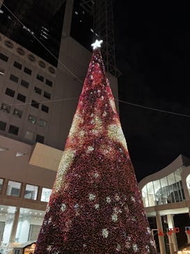 梅田スカイビル・空中庭園展望台に投稿された画像（2025/11/25）