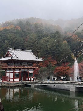 勝尾寺に投稿された画像（2025/11/25）