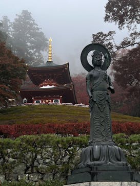 勝尾寺に投稿された画像（2025/11/25）