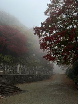 勝尾寺に投稿された画像（2025/11/25）