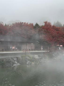 勝尾寺に投稿された画像（2025/11/25）