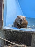 伊豆シャボテン動物公園に投稿された画像（2025/11/25）