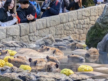 伊豆シャボテン動物公園に投稿された画像（2025/11/25）